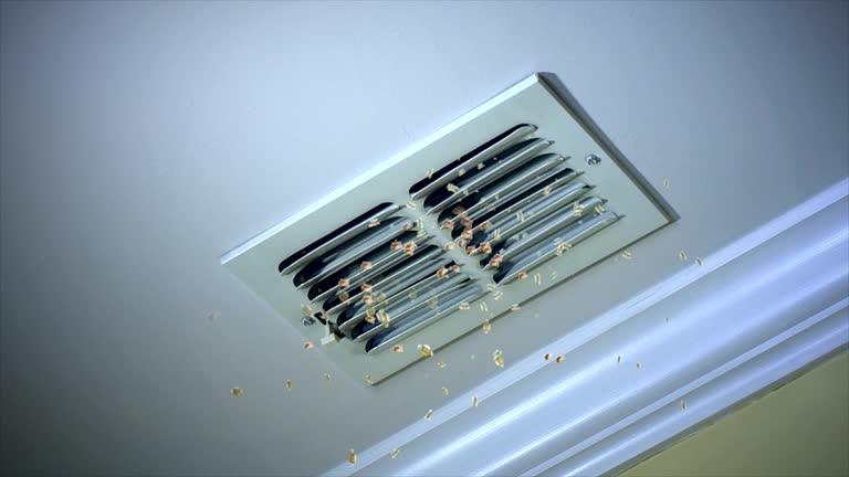 HVAC Maintenance and Cleaning in AL